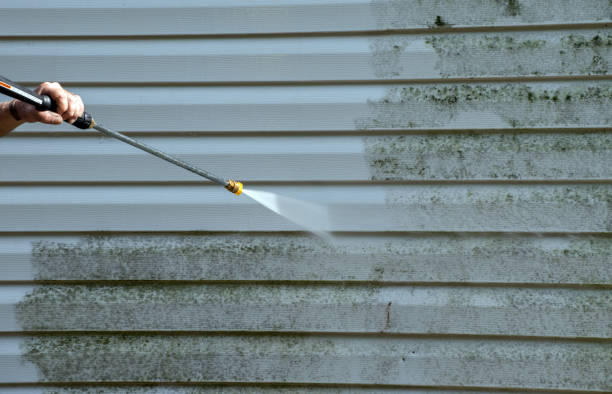 Best Exterior Home Cleaning  in Hannibal, MO